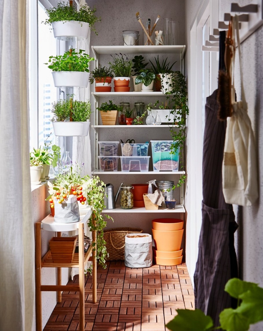 Стеллаж с цветами на балконе