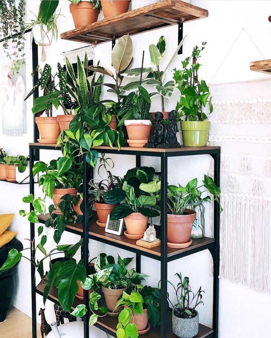 Икеевский стеллаж для цветов