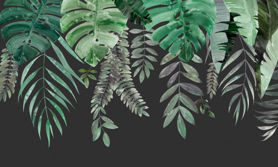 Обои с пальмовыми листьями