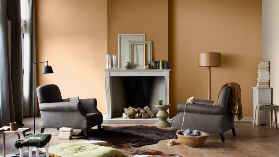 Краска Dulux 50yr 47/057