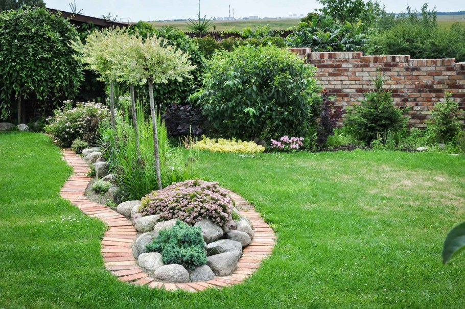 Растения на газоне перед домом