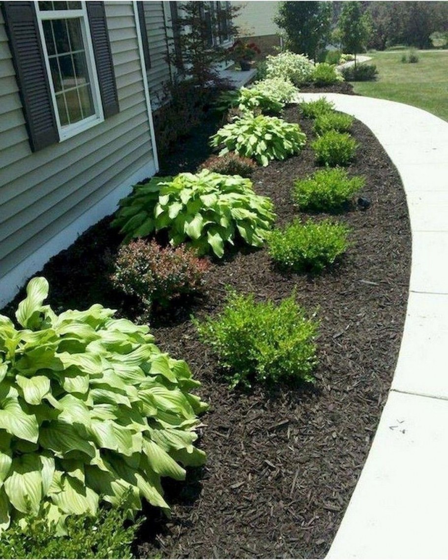 Хоста мульчирование корой