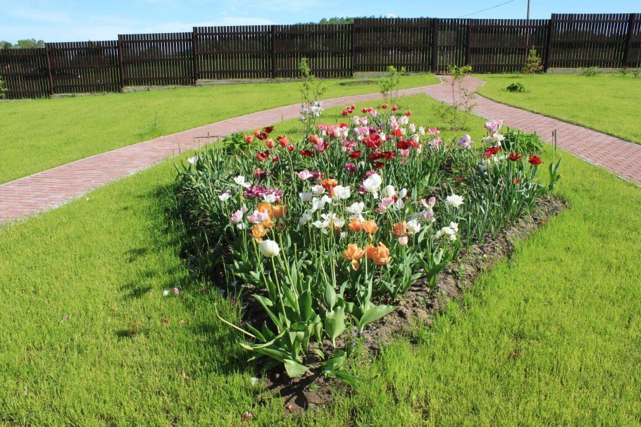 Клумба посередине газона