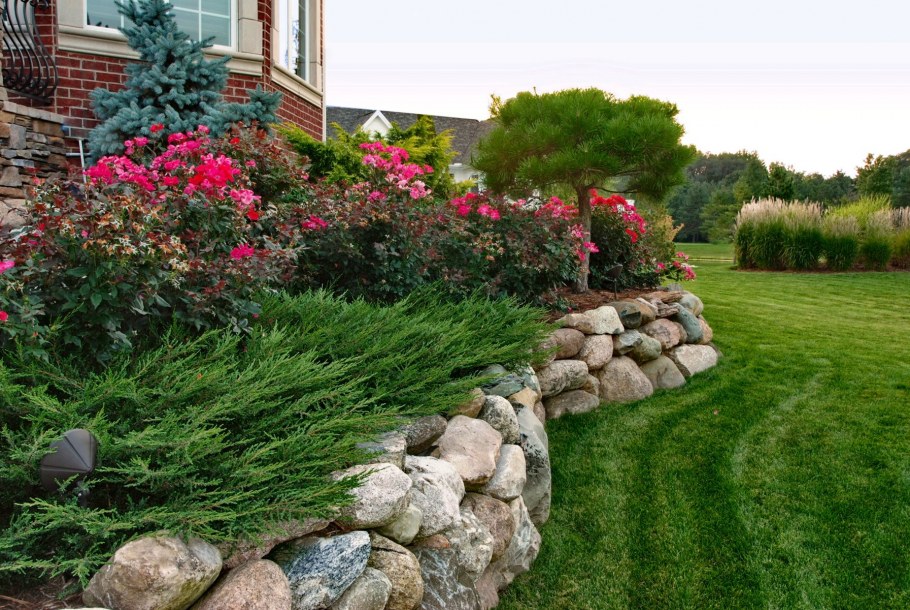 Розы на подпорной стенке