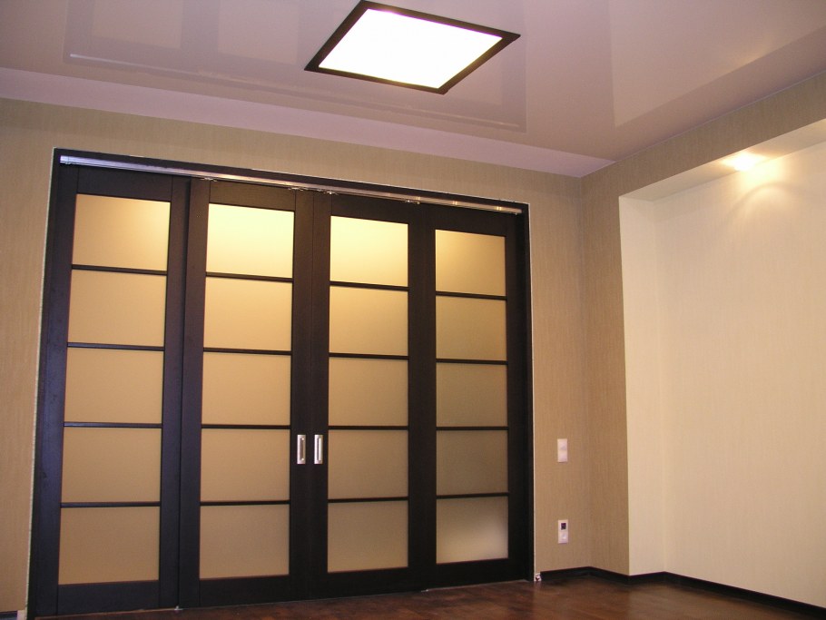 Раздвижные двери межкомнатные в зал