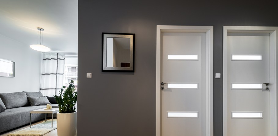 Матовые двери межкомнатные в интерьере