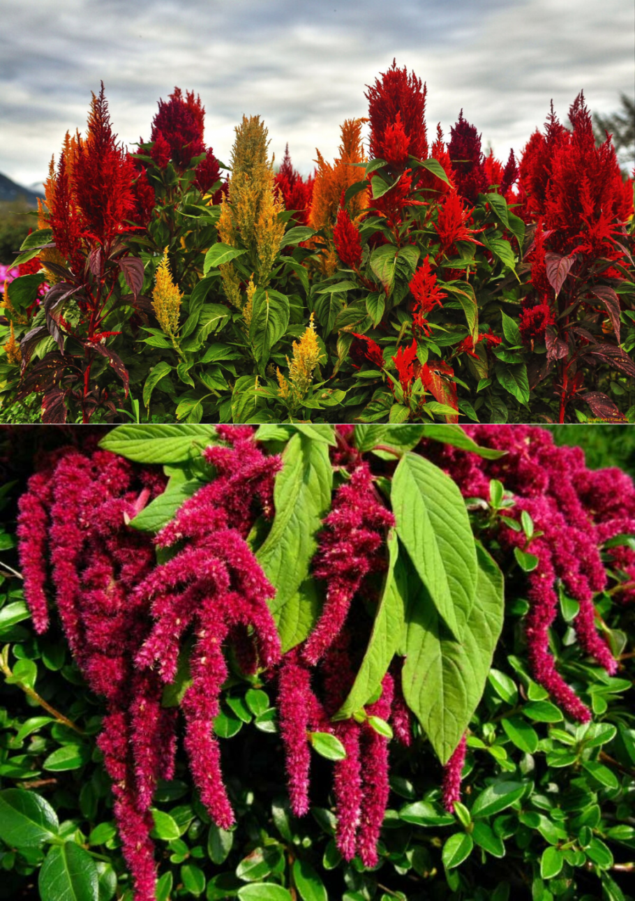 ЖК Архитектор Обручевский район