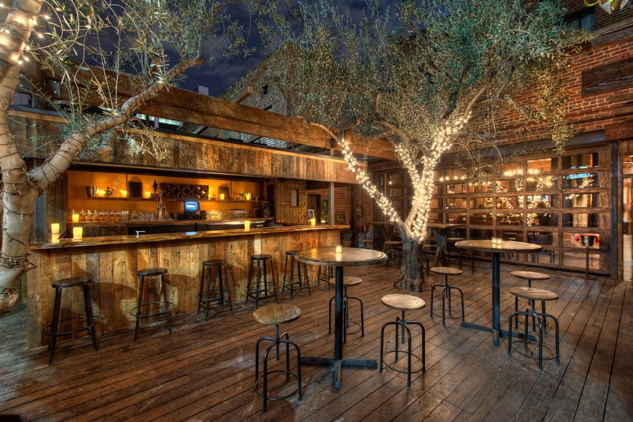 Кафе с деревом внутри