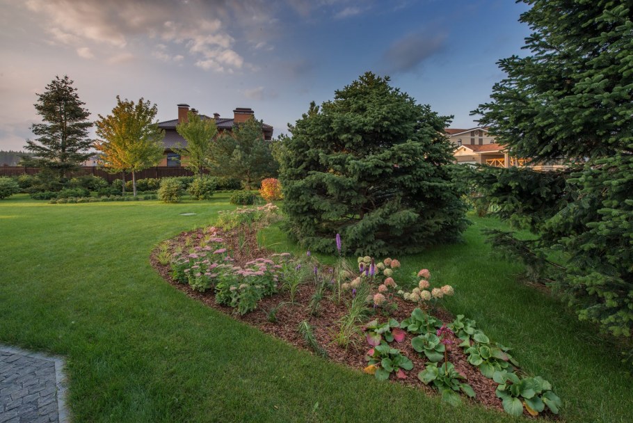 Сад в пейзажном стиле в Подмосковье