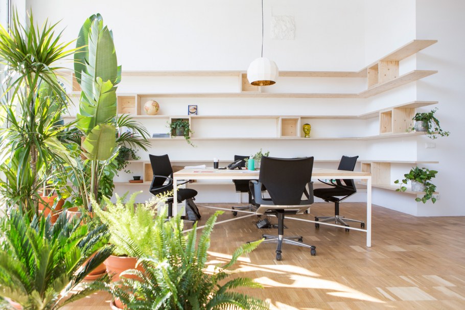 Светлый офис