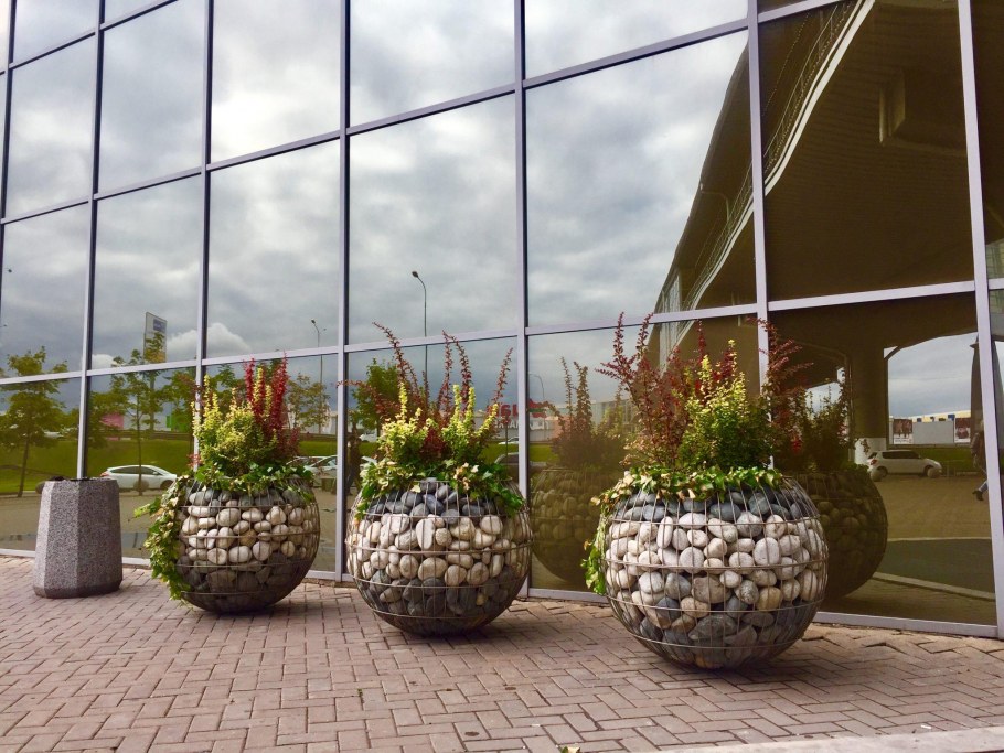 Габион Кактус