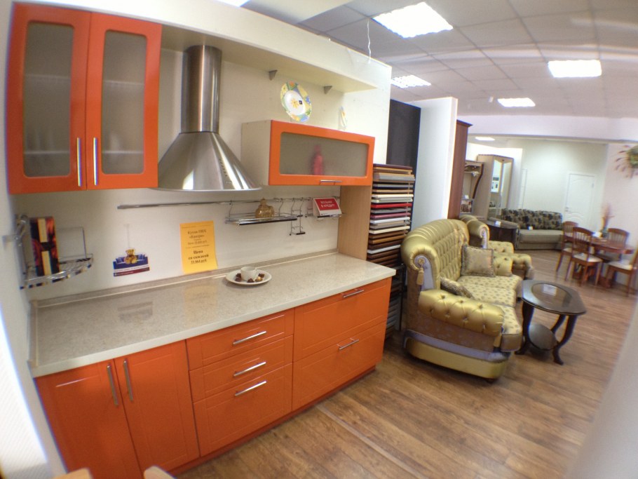 Одитор Клин