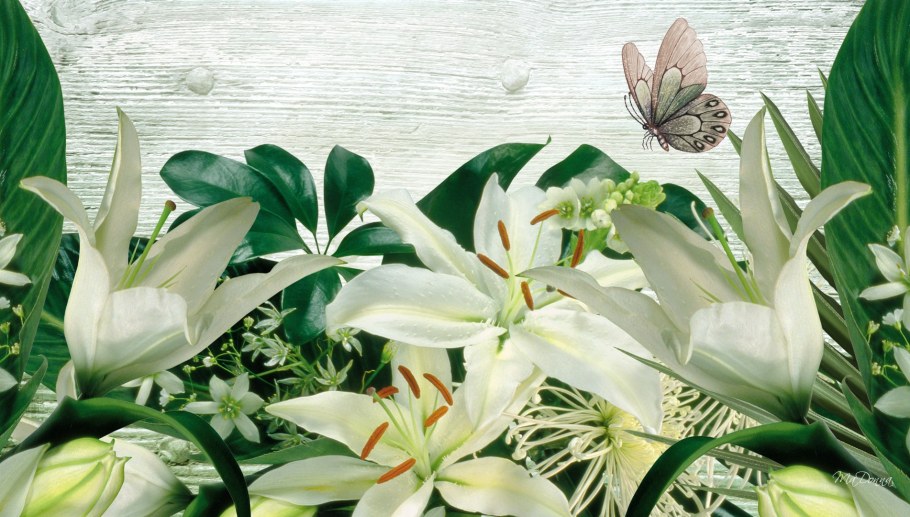 Обои французские лилии