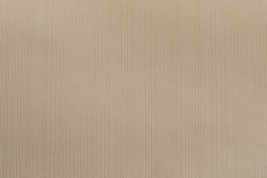 47408 Винил /Elysium/ /9/