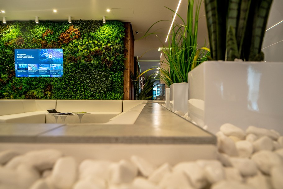 Спа Ривьера Минск на победителей