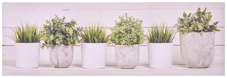 Красивое сочетание трав в горшках