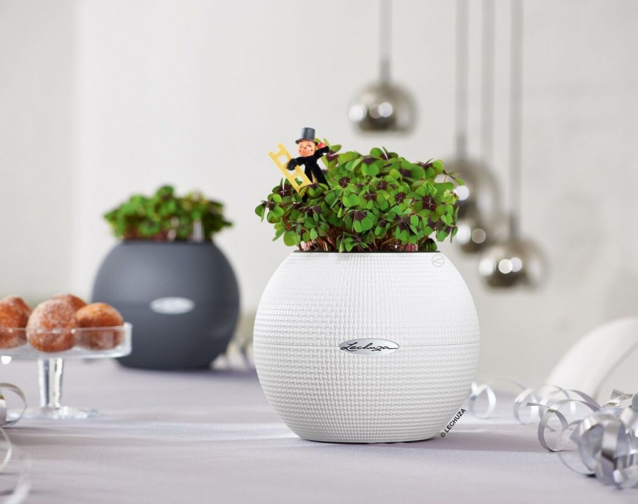 Кашпо Lechuza puro Color