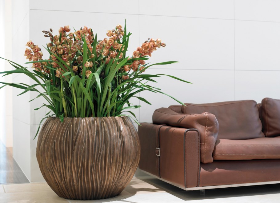 Bittergurka БИТТЕРГУРКА