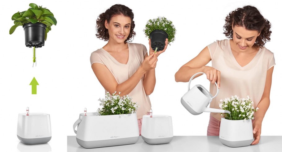 Цветок в горшке с лейкой