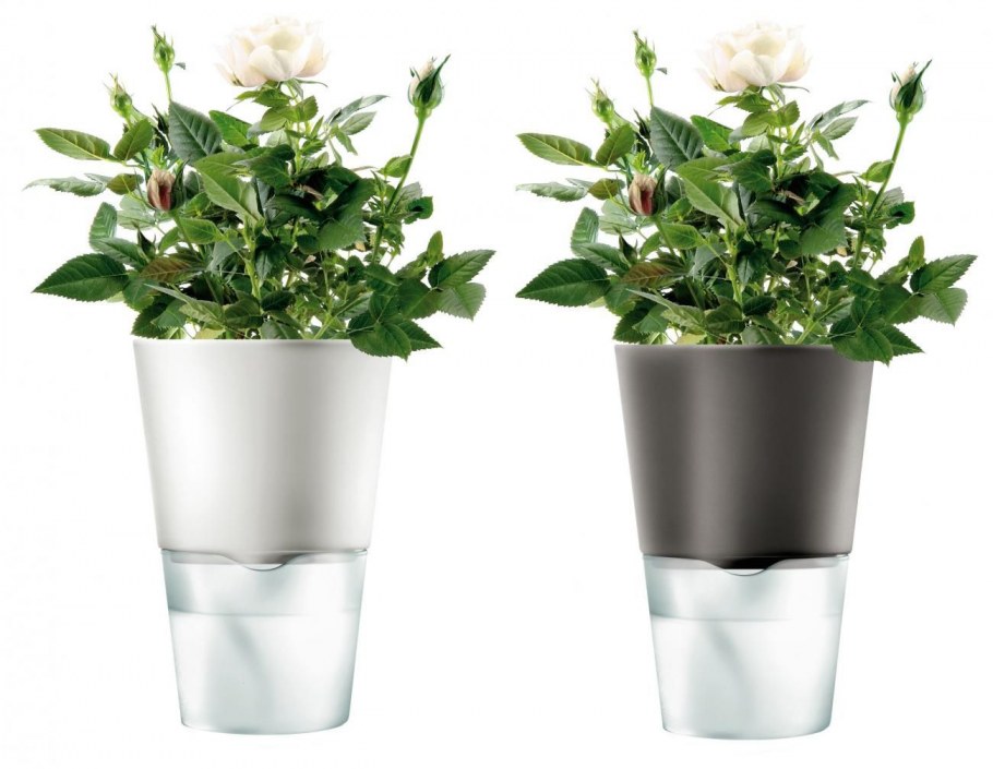 Белый горшок с цветами