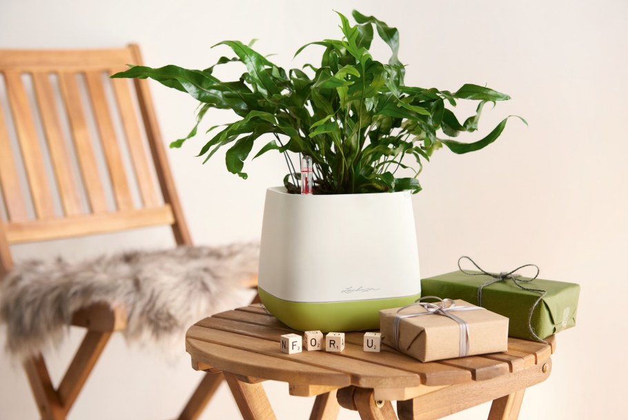 Кашпо Lechuza "Yula Pot"