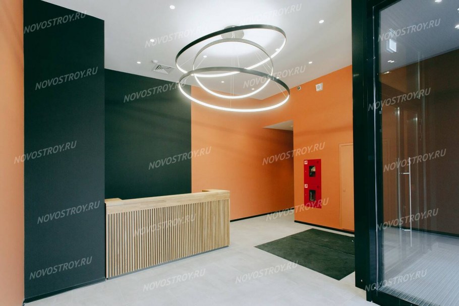 Левел Амурская 2020