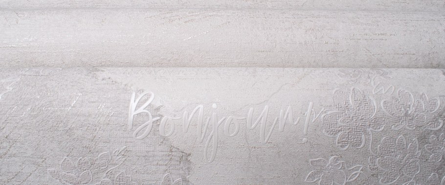 888901 Victoria Stenova Bonjour