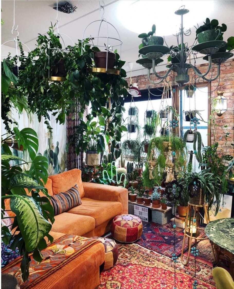 Гостиная с комнатными цветами