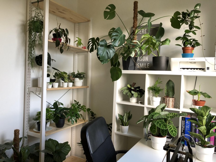 Любитель растений