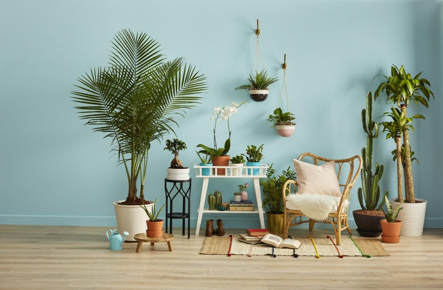 Стена дома с цветами