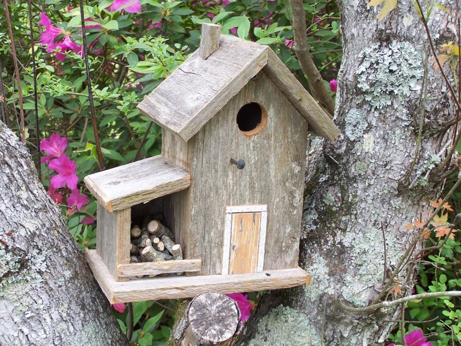 Скворечник с кормушкой