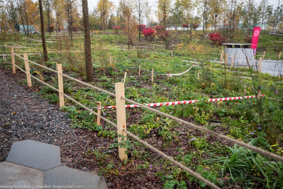 Укрытия для деревьев с каркасом
