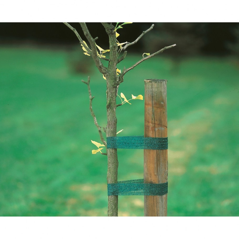 Ограждения для саженцев