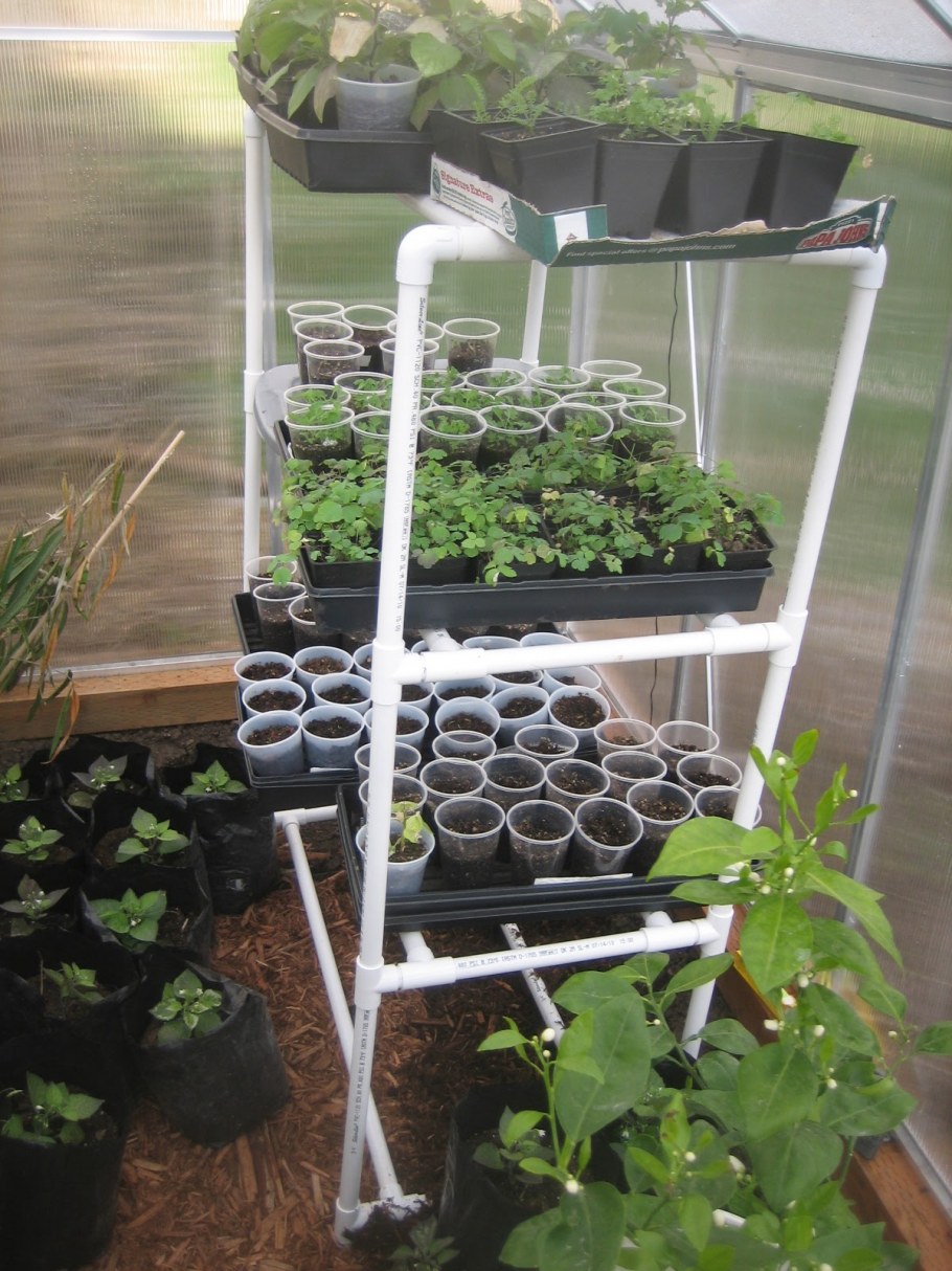 Подвязка деревьев