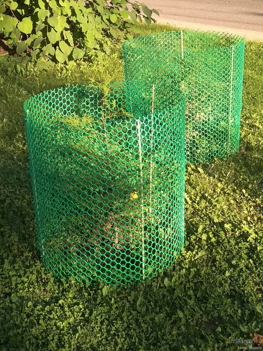 Ограждение для саженцев деревьев