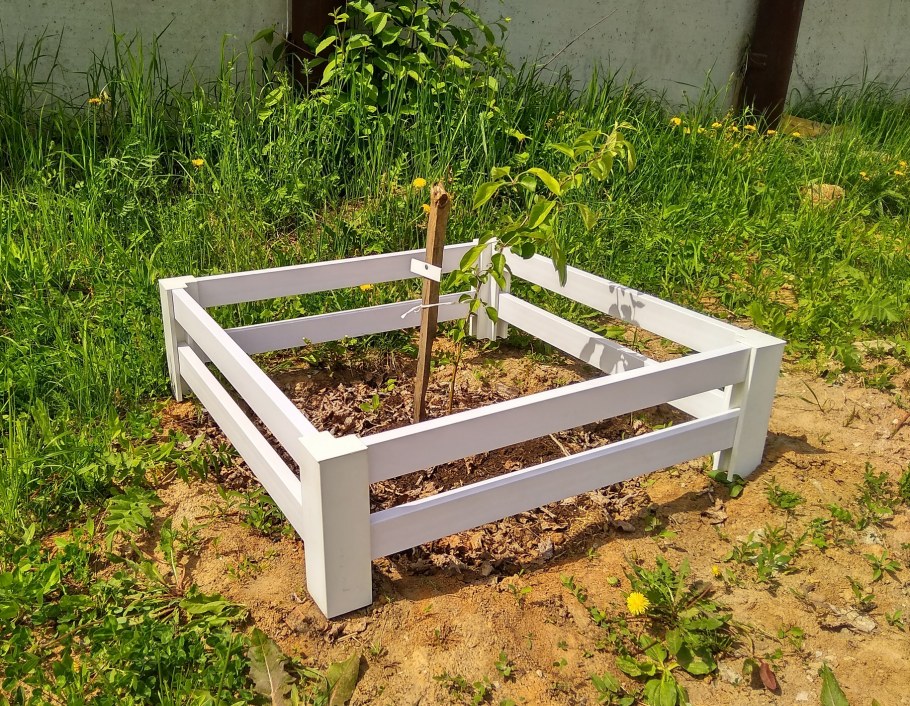 Оградки для саженцев