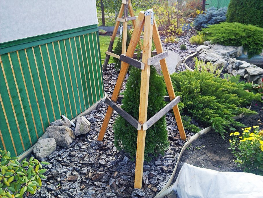 Ограждение для саженцев деревьев