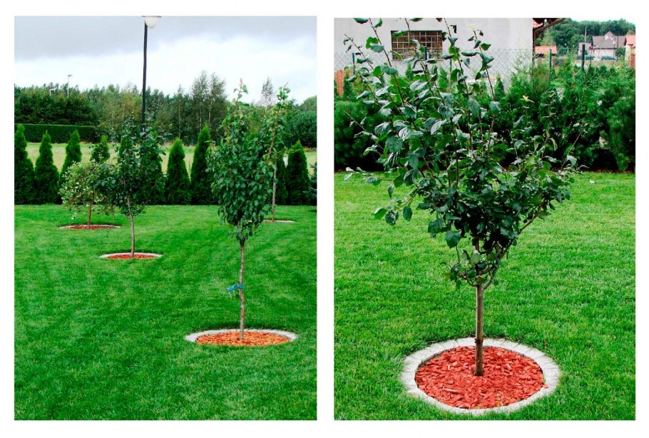 Сетка для огорода пластиковая