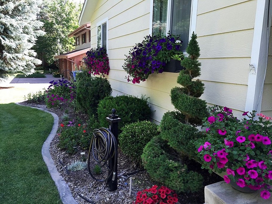 Рабатка с хвойниками