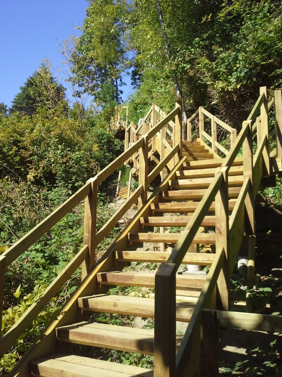 Деревянная лестница в ландшафте