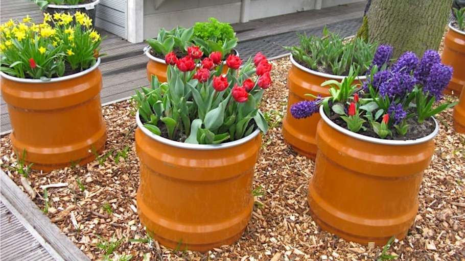 Клумбы в горшках