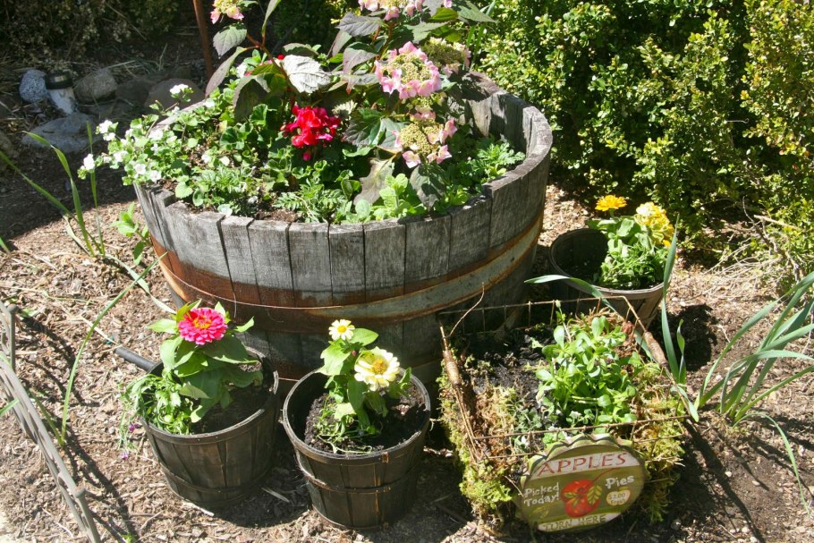Клумба из строительного ведра