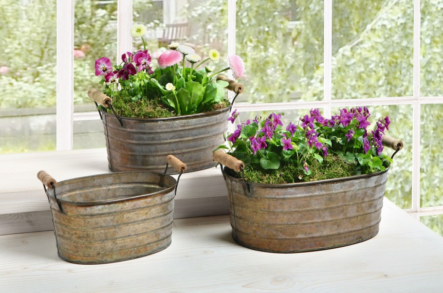 Цветы в емкостях