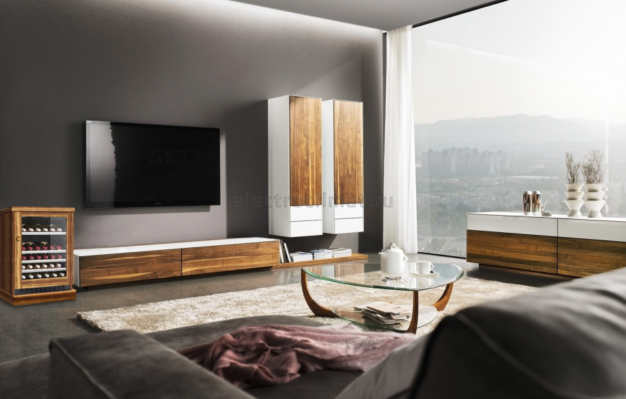 ТВ модуль team7