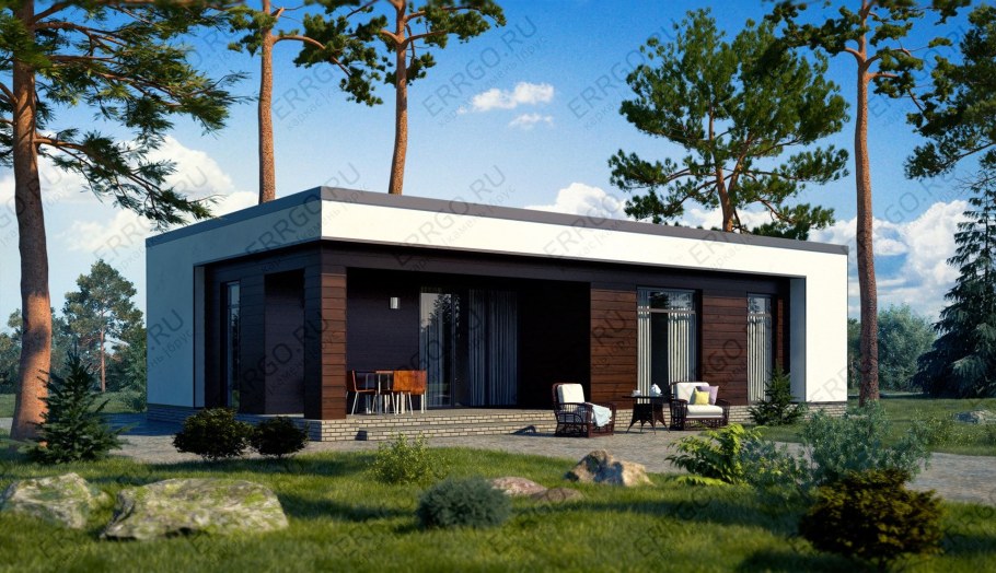 Тини Хаус с плоской крышей