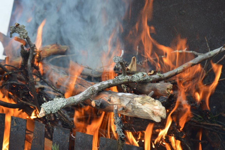 Park Stone кострище