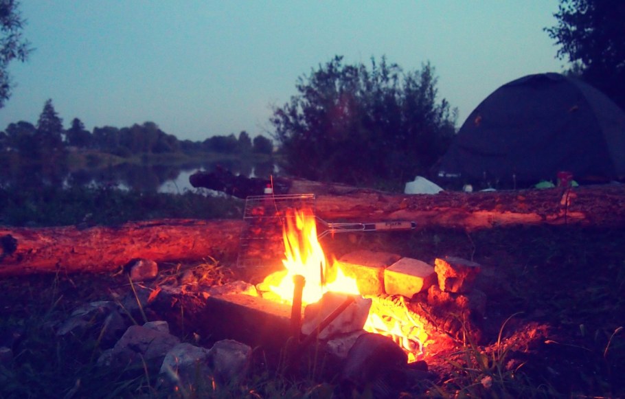 Бабочка костер