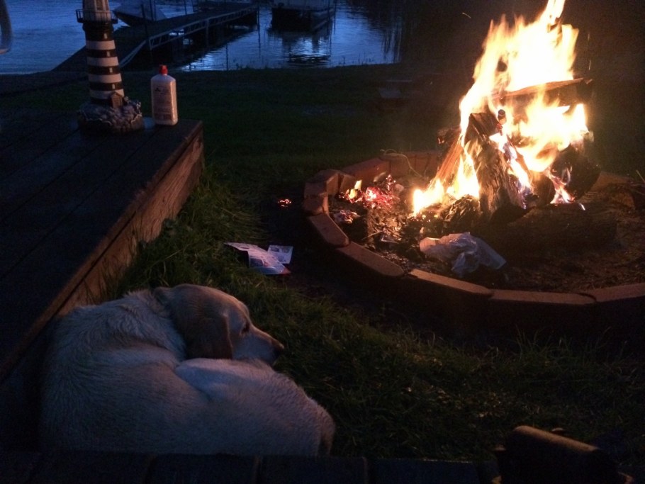 Костер и кострище разница