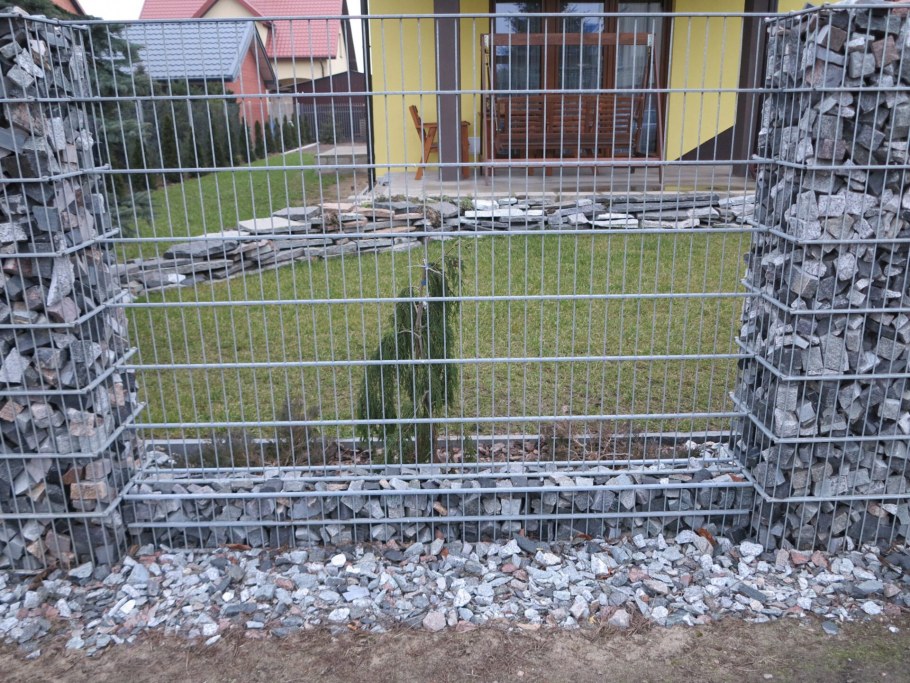 Лиана на габионе