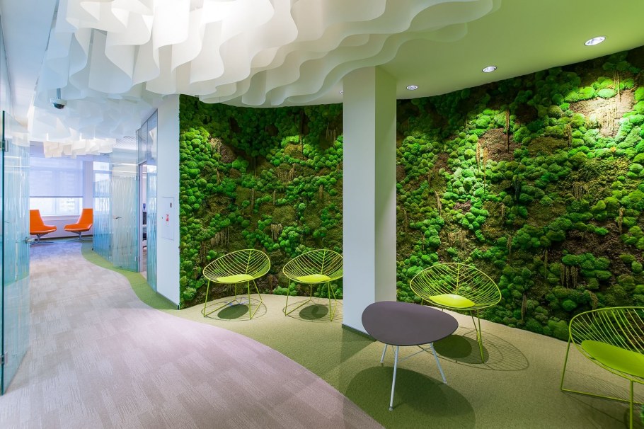 Фитостена из стабилизированного мха